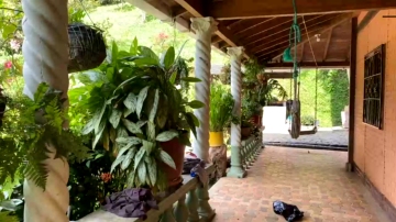 75t  21-11-2021 video shaved